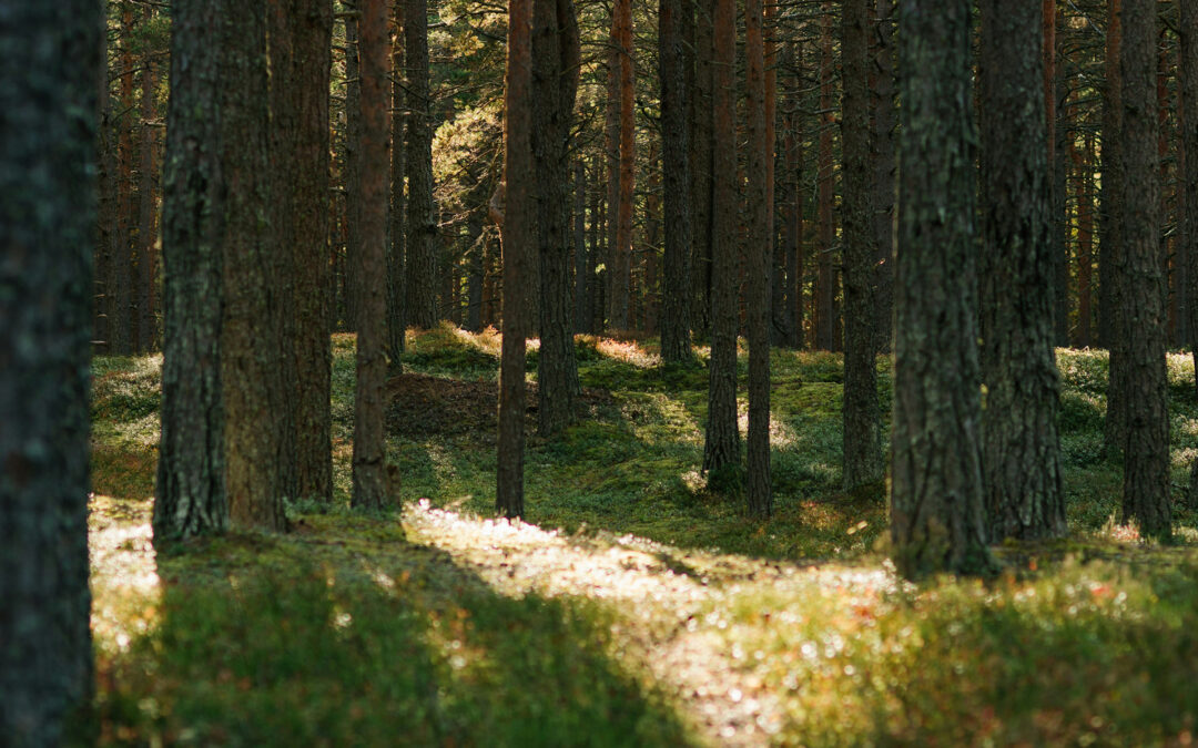 Det är hög tid att lämna motsättningarna